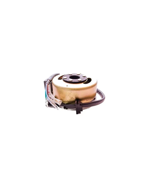 Nie przegap Stator i magneto 2 cewki pitbike 80/120 MRF